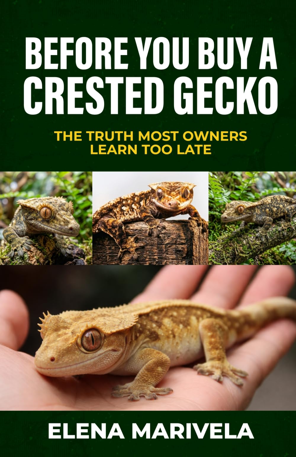 Before You Buy a Crested Gecko: Everything You Must Know Before You Spend a Dollar or Bring One Home (The Crestie Keeper Series)