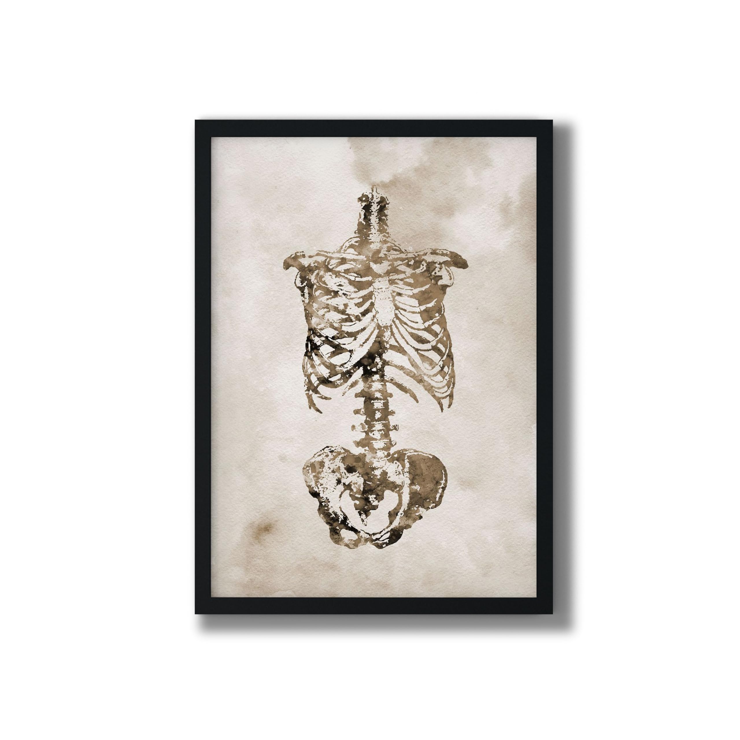 MOMONTS Quietude of Human Anatomy | Home Wall Decor Framed Matte Poster | Thoughtful Gift for Anatomy Students (Large (12.62 x 18.42), Black)-image-38