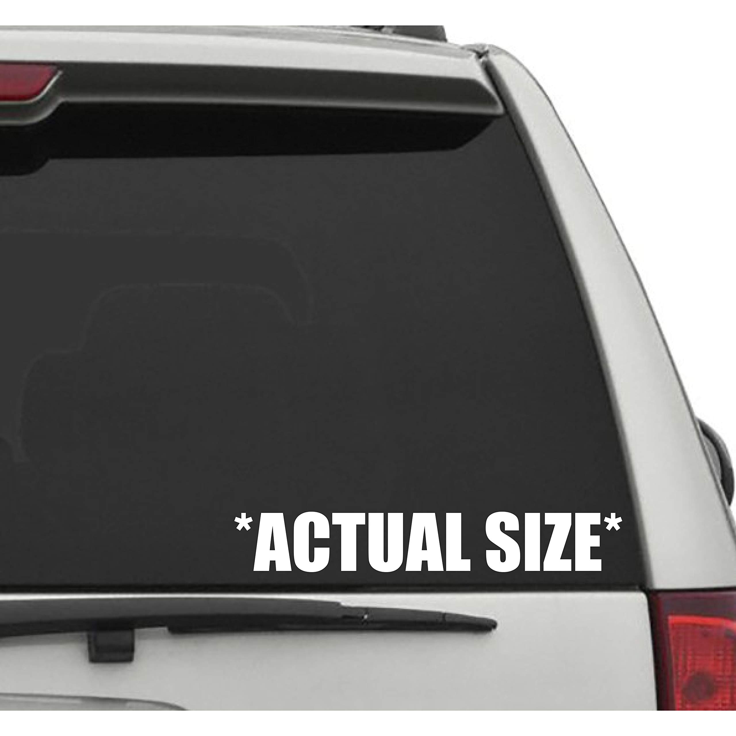 Actual Size Sticker Decal CAR Truck Window Bumper Sticker Boost Low Euro Illest JDM KDM Funny Slammed