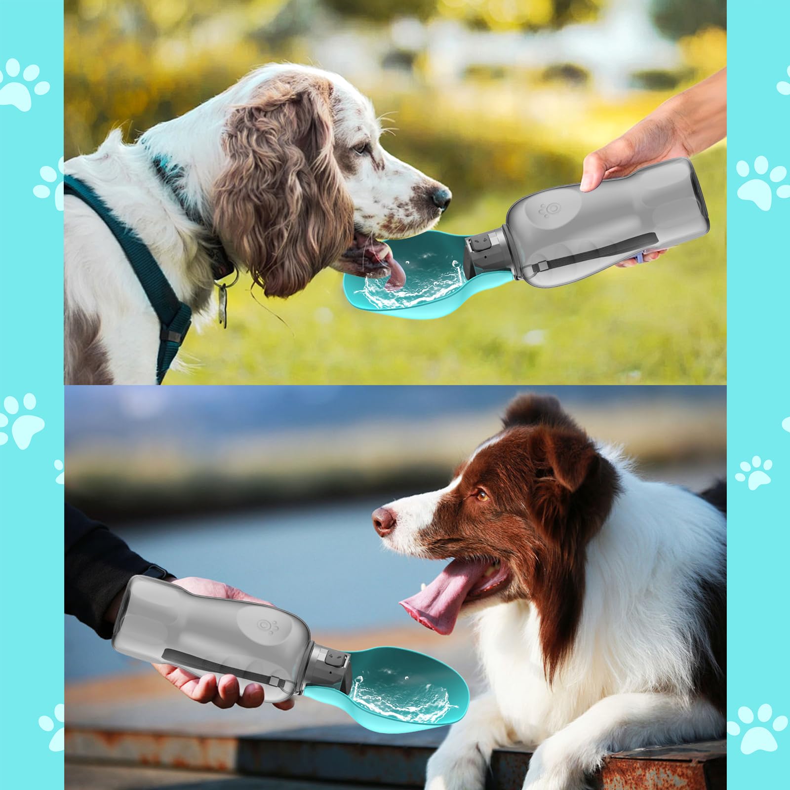 800ML Borraccia Cane Portatile Porta Acqua per Cani, A Prova di Perdite Bottiglia per Cani per Passeggiate, Escursioni e Attività all'aperto
