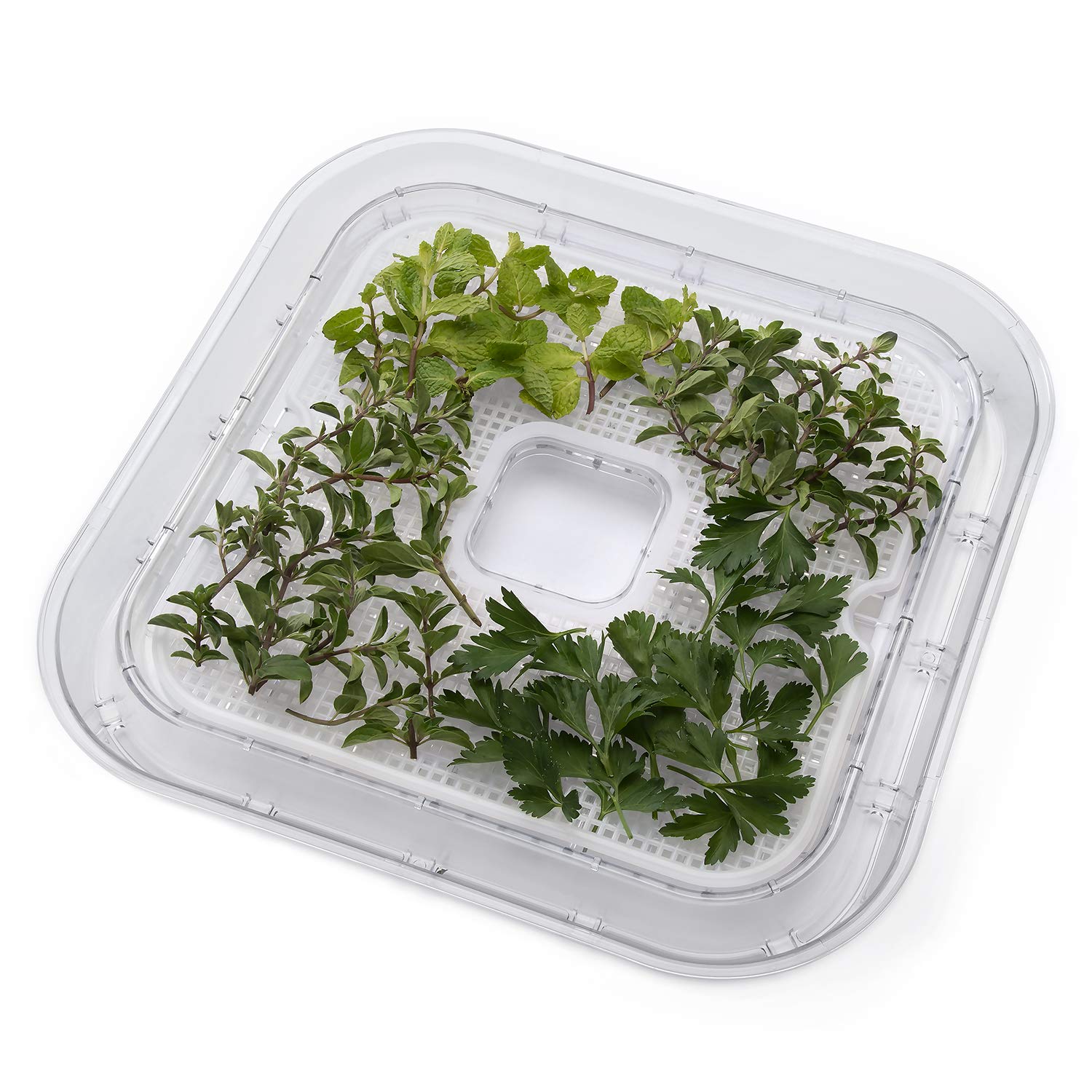 NATIONAL PRESTO06311 Nonstick Mesh Screens, 1 Size, Clear