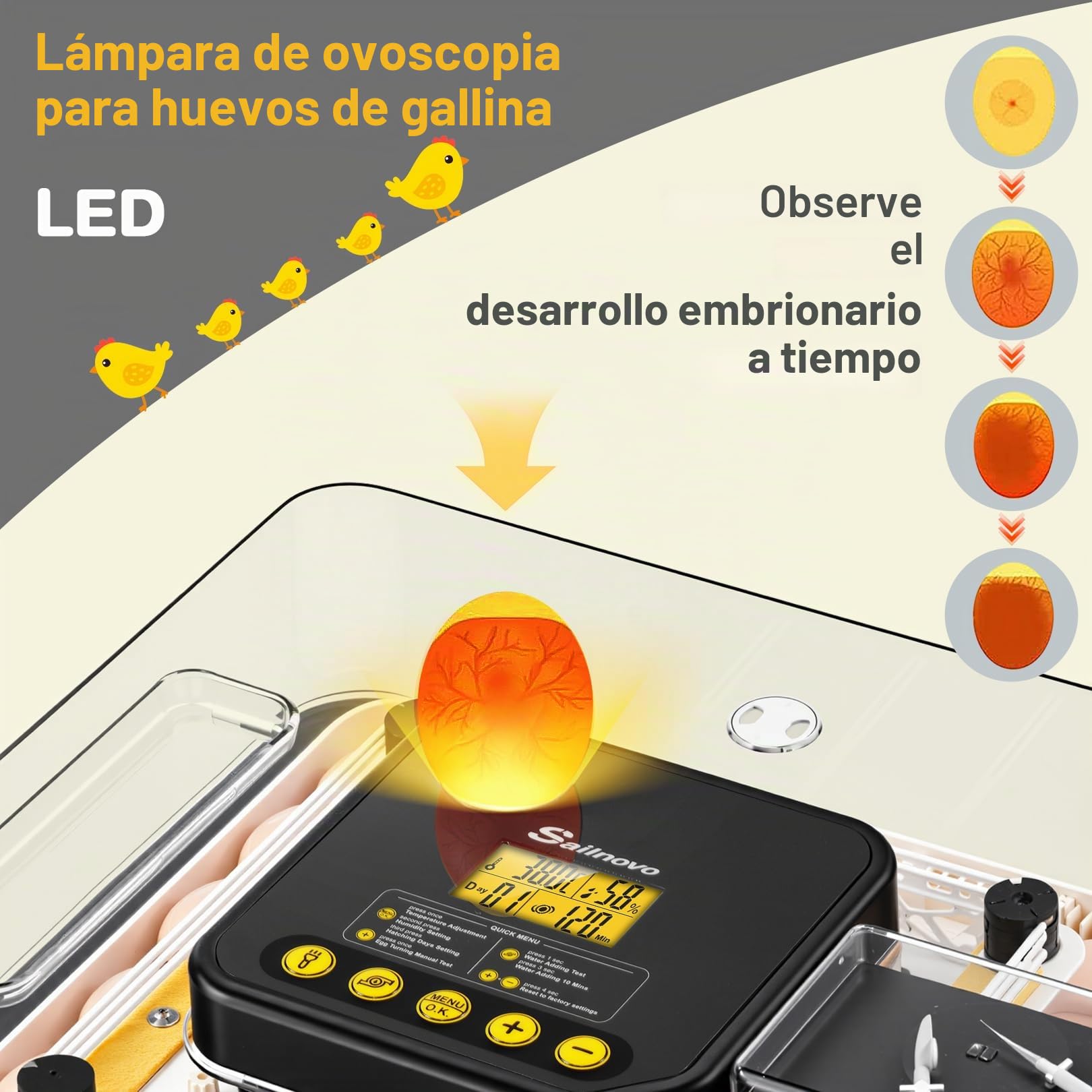 Sailnovo Incubadora de Huevos Automática 48 Huevos con Control Preciso Temperatura/Humedad, Volteador Automático de Huevos, Vista 360°, Ovoscopio Para Huevos, Para Gallina/Pato/Codorniz,Gris
