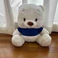 プーちゃん プーちゃん様 プー ZX Fury 名作を融合した最後の