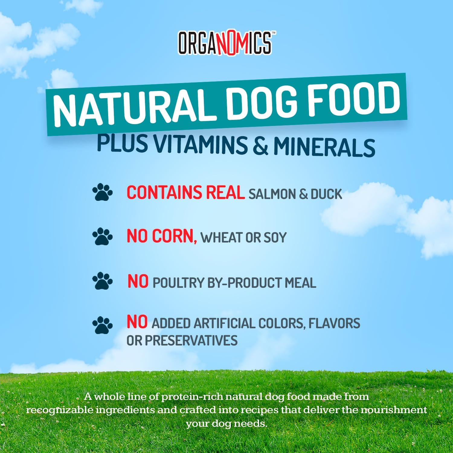 Organomics Food Dog Flavor Salmon Duck 12.5 oz (Pack of 12)