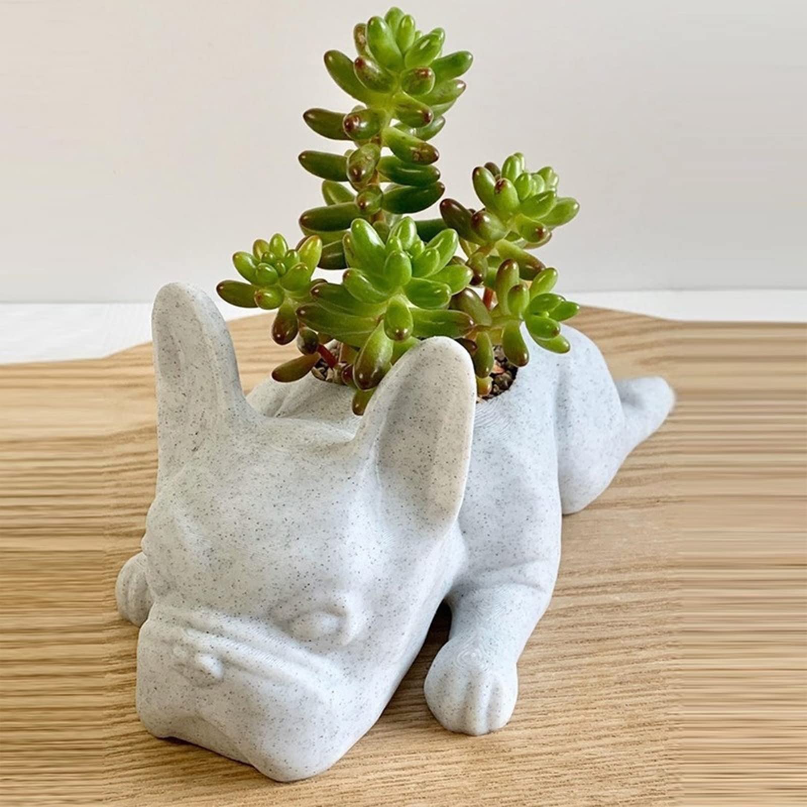 Amazon.co.jp: 小型犬用樹脂製植木鉢、フレンチブルドッグ多肉 Amazon.co.jp: 小型犬用樹脂製植木鉢、フレンチブルドッグ多肉