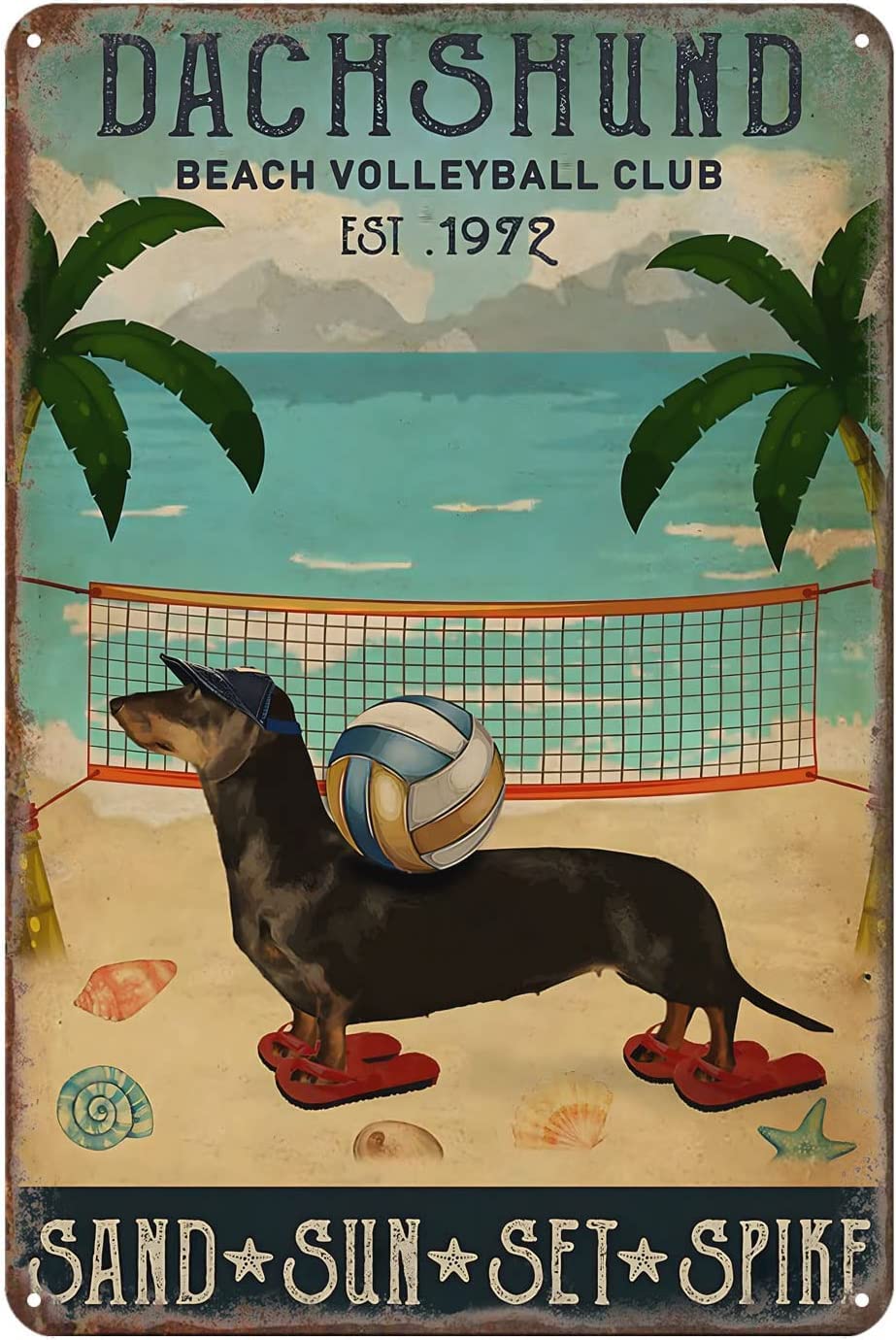 rayprint Funny Beach Volleyball Club Dachshund Retro Decor Home Kitchen Bar Cafe Club Cave Wall Decor Beach Volleyball Tin Signs Funny Tin Signs Vintage Adult Retro for Garden Club Home 8x12 Inch
