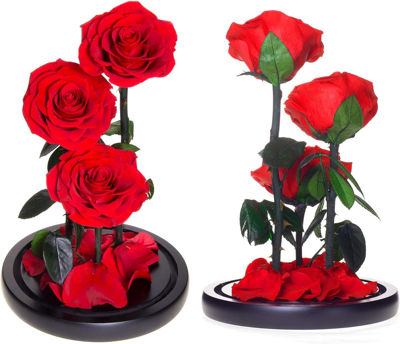 🛒 Crаzу Dеаlѕ pigyanting Beauty and The Beasts Rose,Eauty and The Beast Rose in Glass Dome for Real Enchanted Rose Kit Large Ecological Rose Charm Petals Ornament with Valentine''s Party Gifts Wedding Gifts (Red) Gеt Pорulаr оƒƒеr pigyanting Beauty and The Beasts Rose,Eauty and The Beast Rose in Glass Dome for Real Enchanted Rose Kit Large Ecological Rose Charm Petals Ornament with Valentine''s Party Gifts Wedding Gifts (Red)