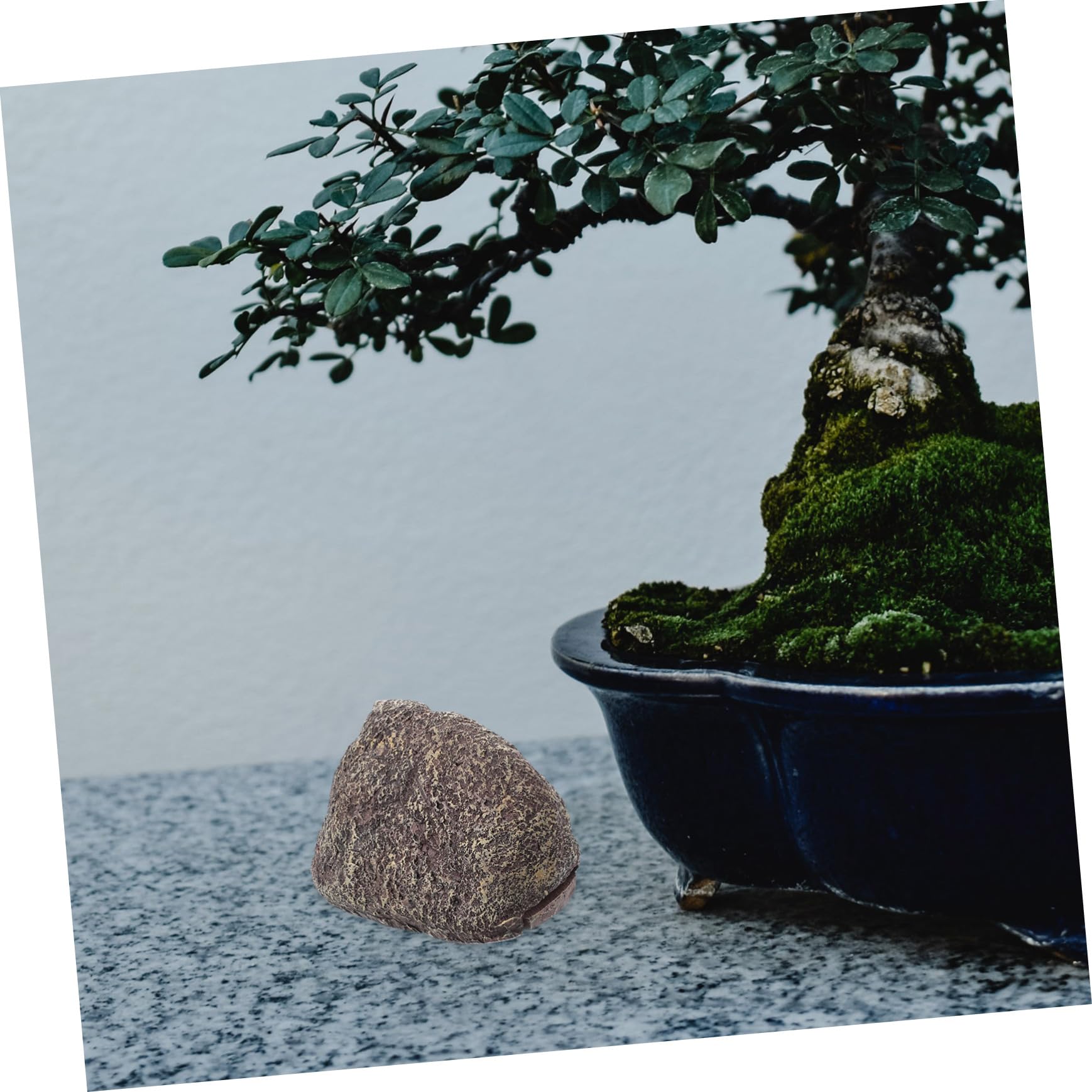 5 Pièces Boîte de Rangement de Pierre Simulée pour Extérieur Cache Clé Décoratif pour Jardin Espace Extérieur pour Garder Vos