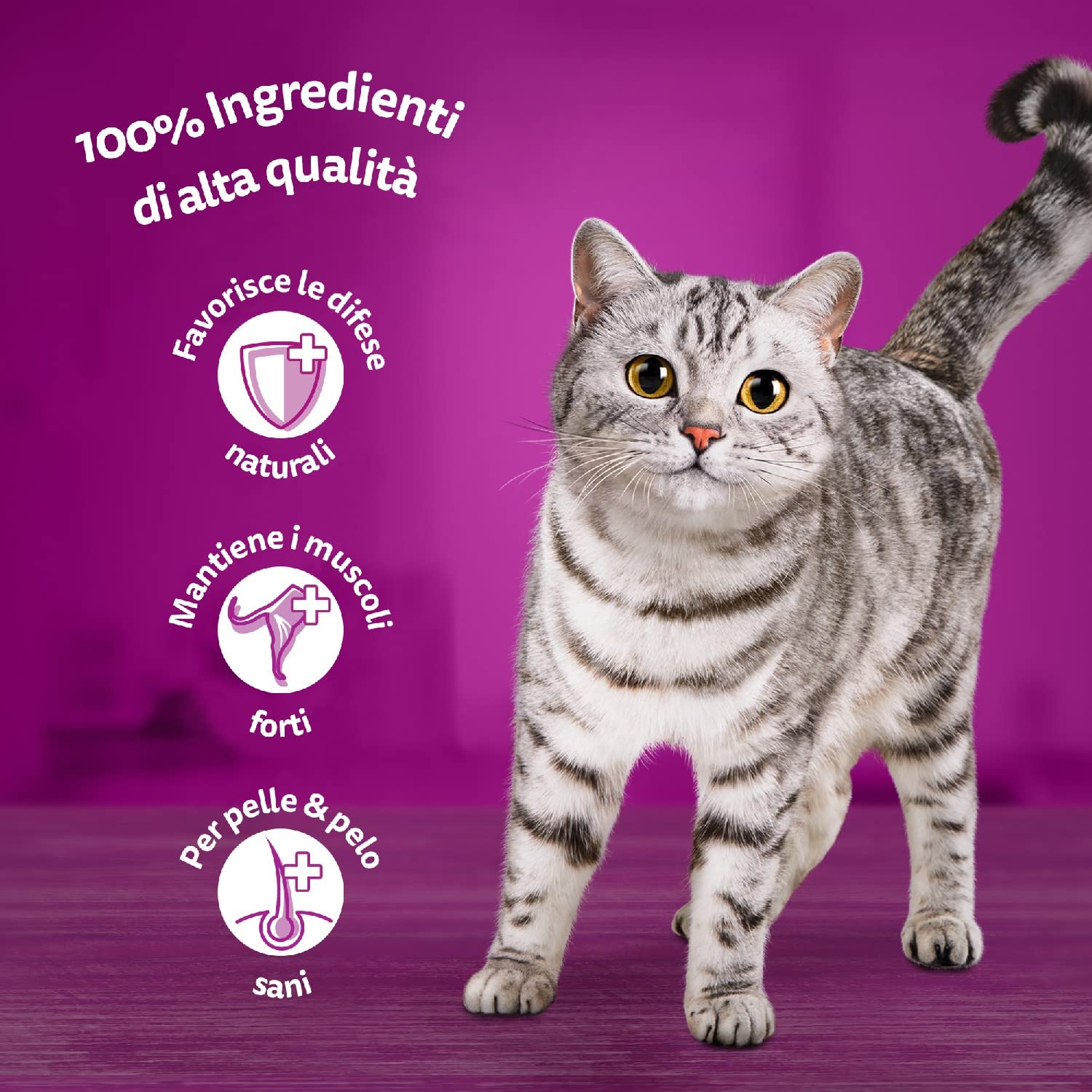 Whiskas Croccantini Adult 1+ con Manzo - Cibo secco per gatti adulti, 14 confezioni da 300 g