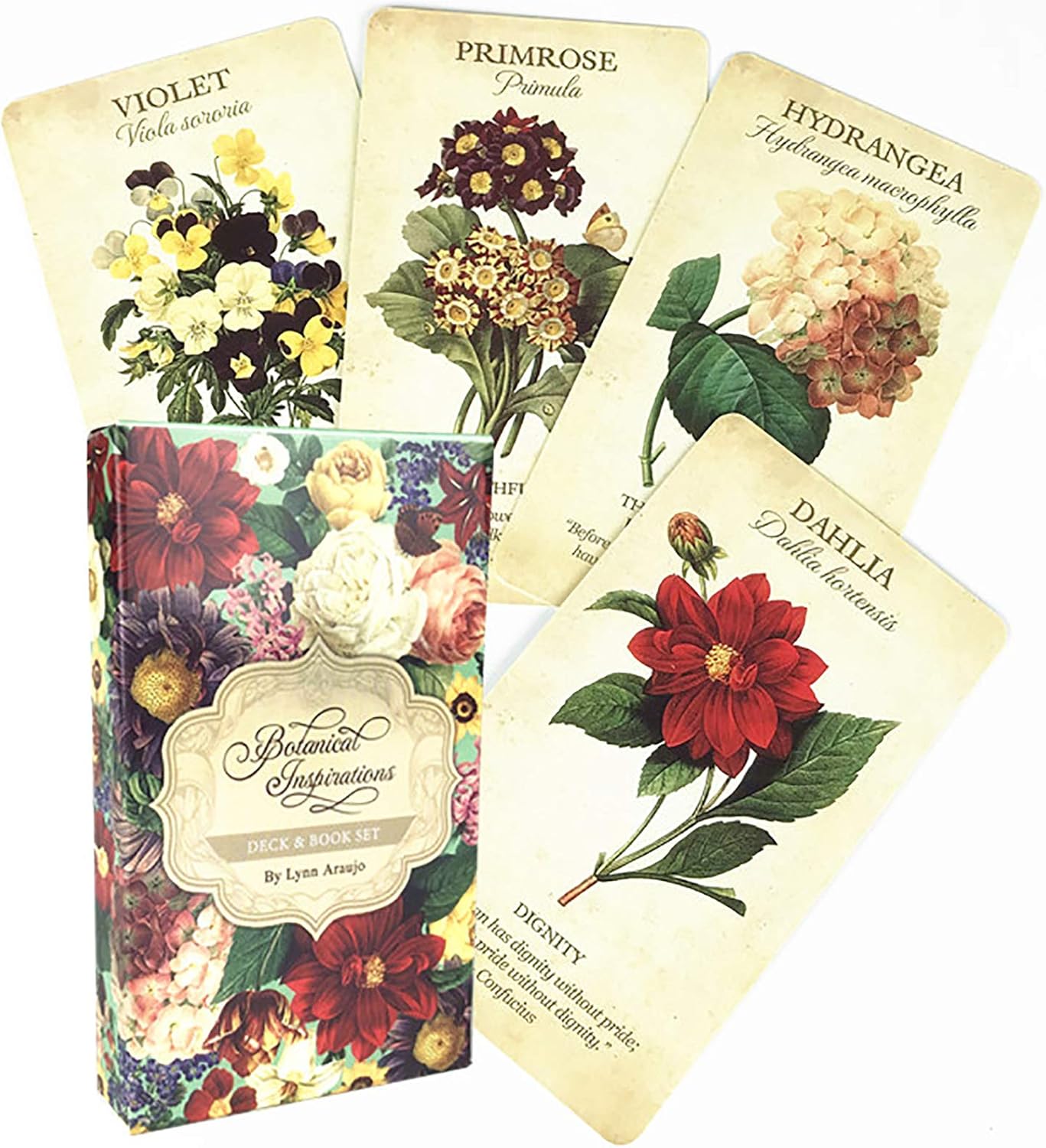 新品即決 タロットカードグリーンウィッチ 植物愛好家ガーデニング トレーナー 決算特価 送料無料 Ggjapan Jp