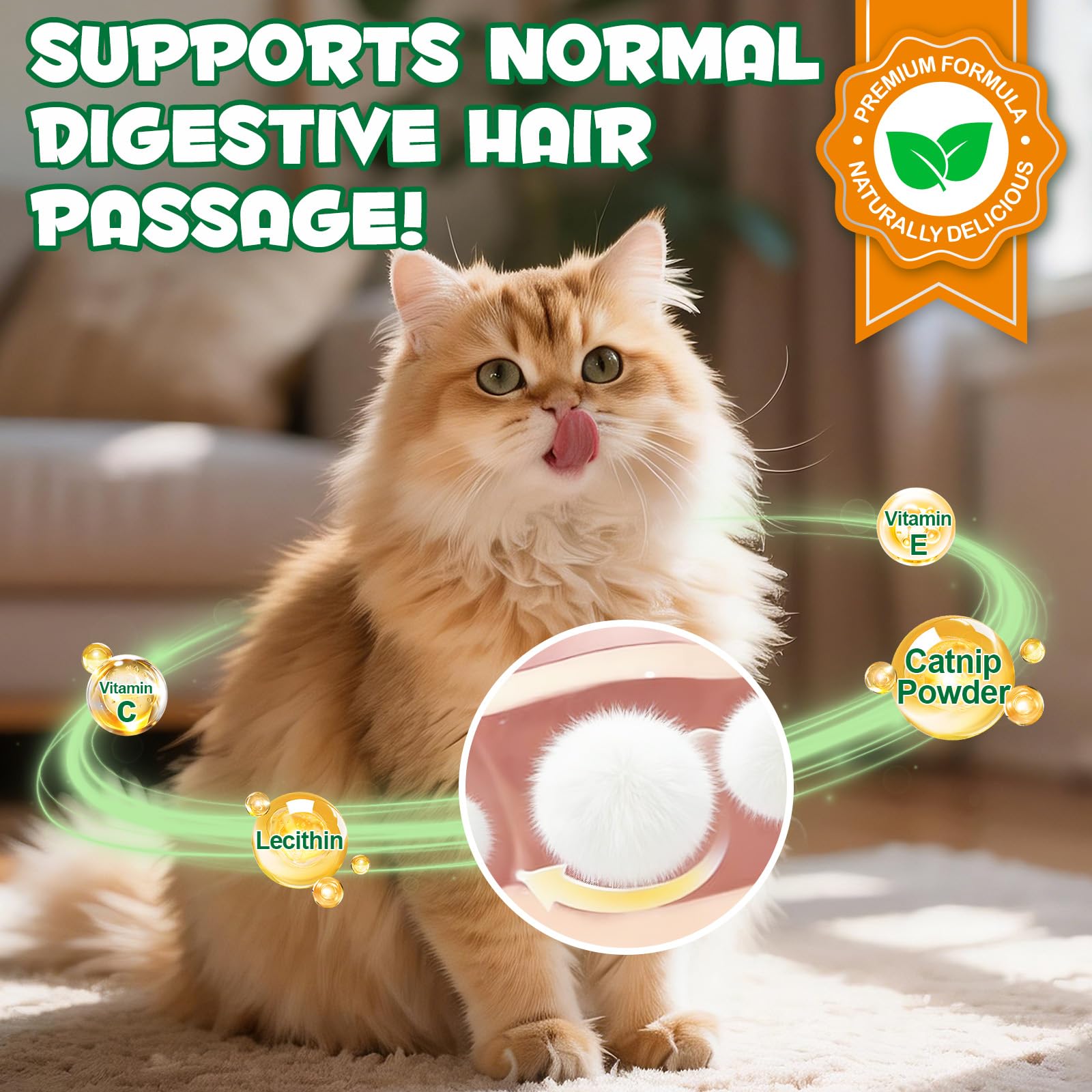 Golosinas de Hierba para Gatos 180g, Golosinas con Catnip para Gatos - Snacks para Ayuda con las Bolas de Pelo y Cuidado Dental, Fibra Natural para la Digestión, Textura Crujiente para Limpieza Dental
