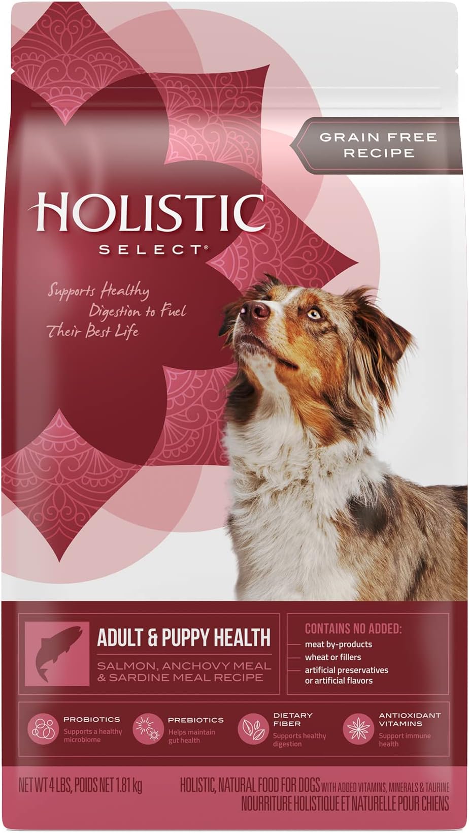 Holistic SelectNatural Grain Free Dry Dog Food, Adult & Puppy Salmon, Anchovy & Sardine Recipe, 4-Pound Bag