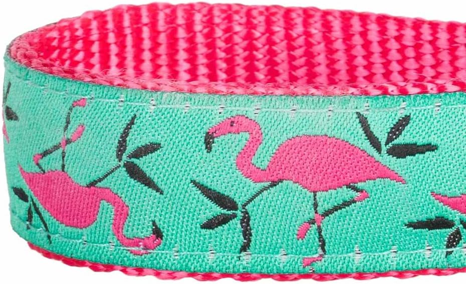Blueberry Pet Essentials 10 Patterns Pink Flamingo on Light Emerald Adjustable Dog Collar, X-Small, Neck 7.5"-10" X-Small Pink Flamingo