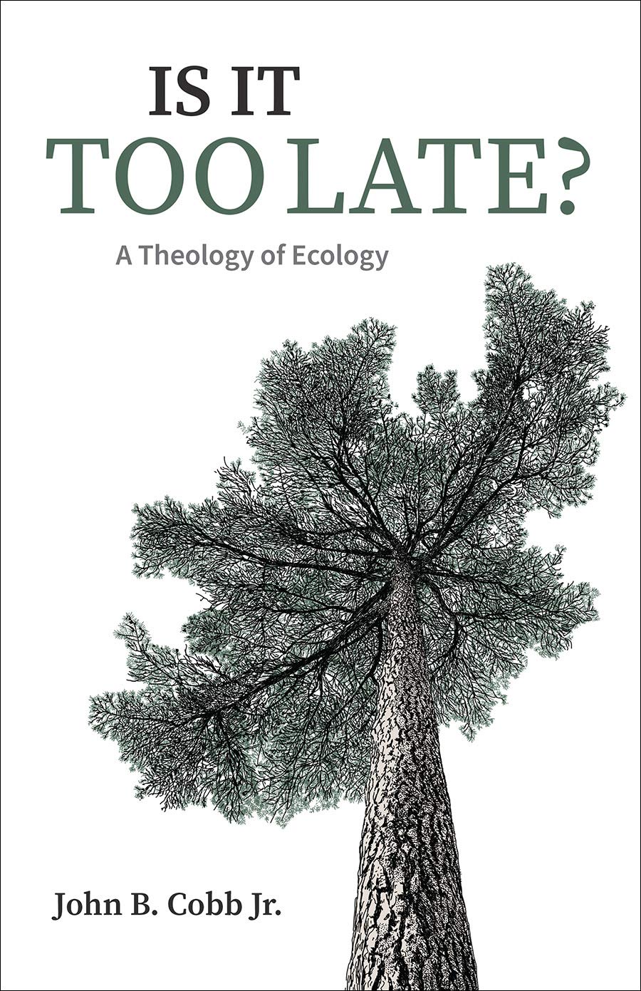Is It Too Late?: A Theology of Ecology      Paperback – April 20, 2021