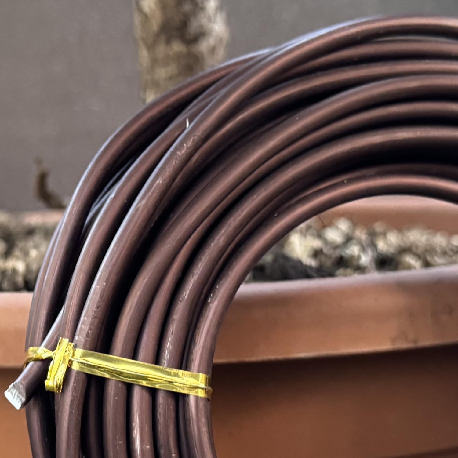 ULISSE® BonsaiPro Aluminium Optima - Filo per Bonsai Brunito - Modellabile e Resistente - Vari Diametri - 500g - per Modellare e Correggere la Forma dei Rami - Attrezzi Bonsai Professionali (5,5 mm)