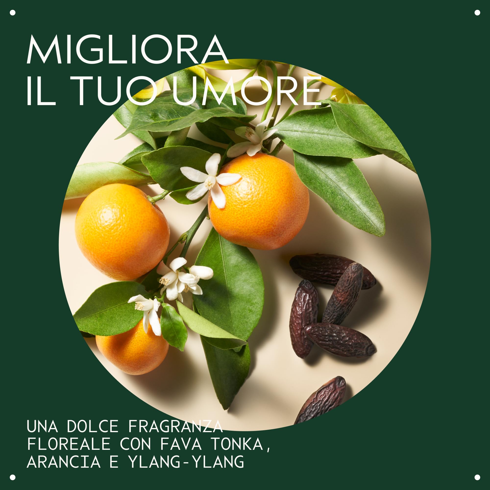 Aveda Cherry Almond Balsamo ammorbidente - Capelli da normali a secchi - Con olio di cocco e burro di karité - Senza siliconi - Aroma iconico di tonka arancia ylang ylang