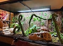 Review Image by Tricia Wieczorek