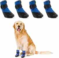 FUGLUS Hundeschuhe - Wasserdichte Pfotenschützer Mit Anti-Rutsch-Sohle, Für Drinnen & Draußen (Größe S)