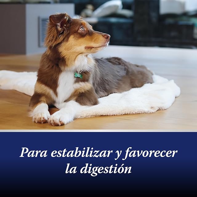 Foto 4 de 6 de Canosept Flora intestinal Perro - probioticos Perros y prebióticos - construye la Flora intestinal Perro