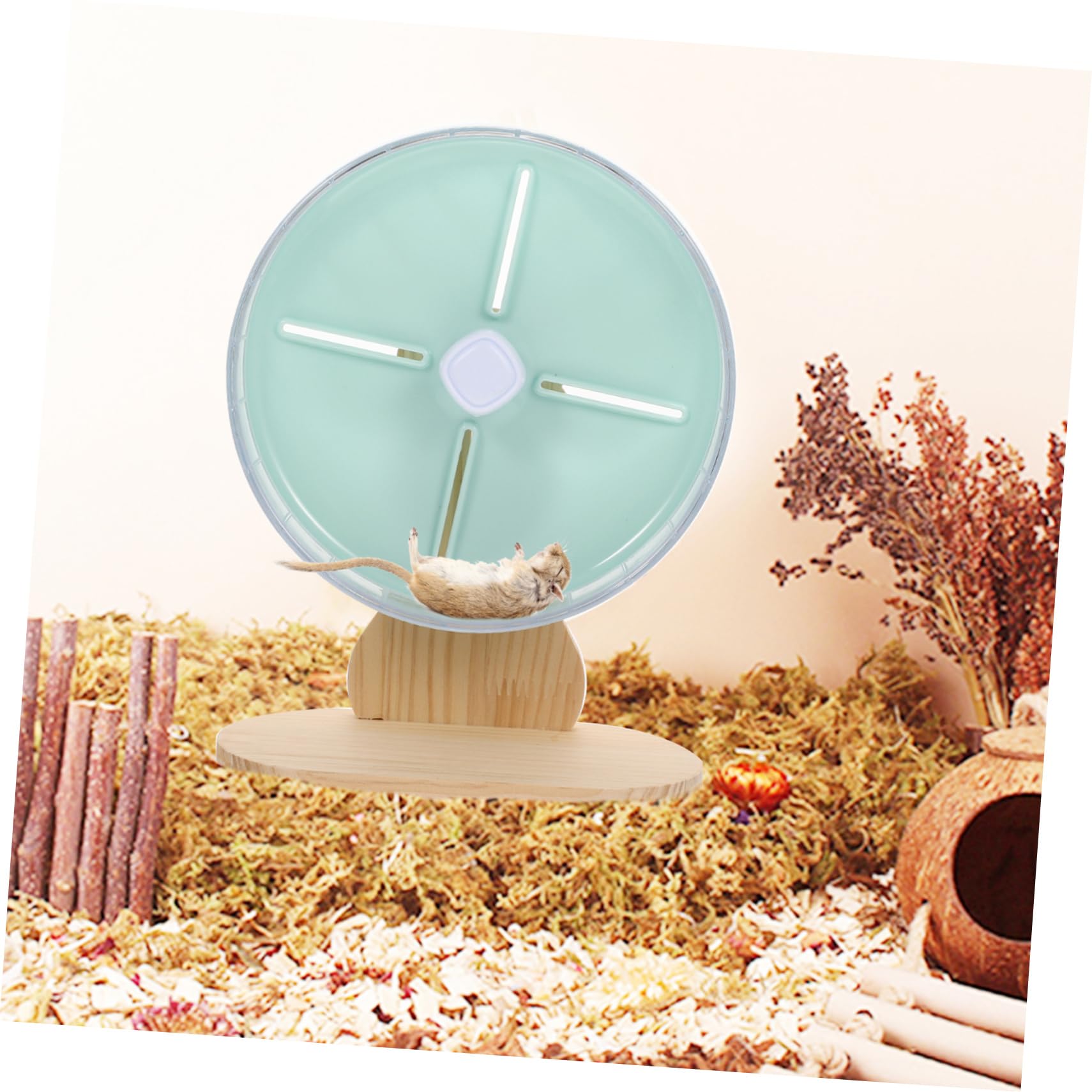 Abaodam 1 Ensemble Silencieuses pour Petits Animaux de Roue Exercice pour Hamsters avec Support pour Habitat