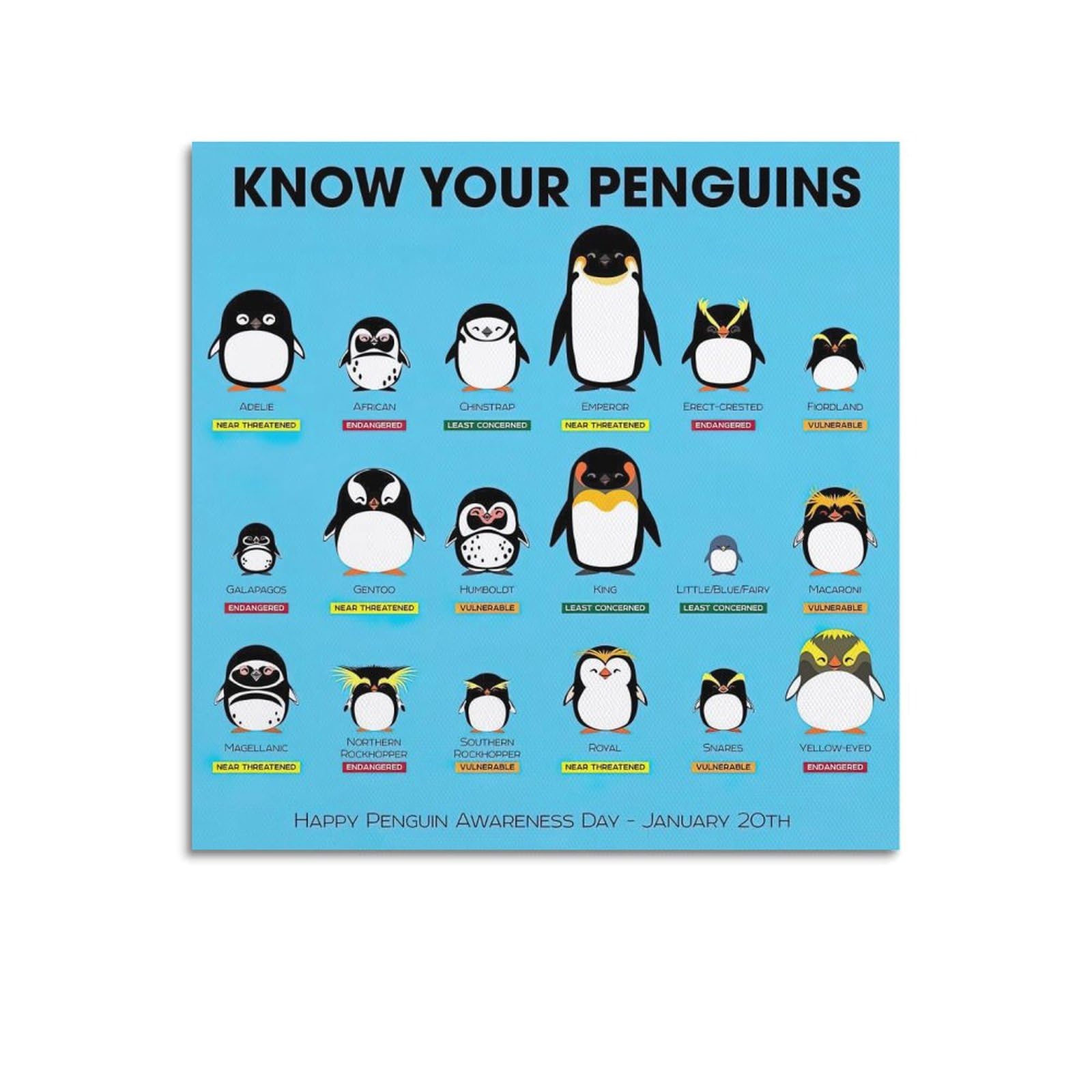 GLMHOK Vintage Animal Poster Know Your Penguins Decorative Painting Canvas Poster 12x12inch(30x30cm)
