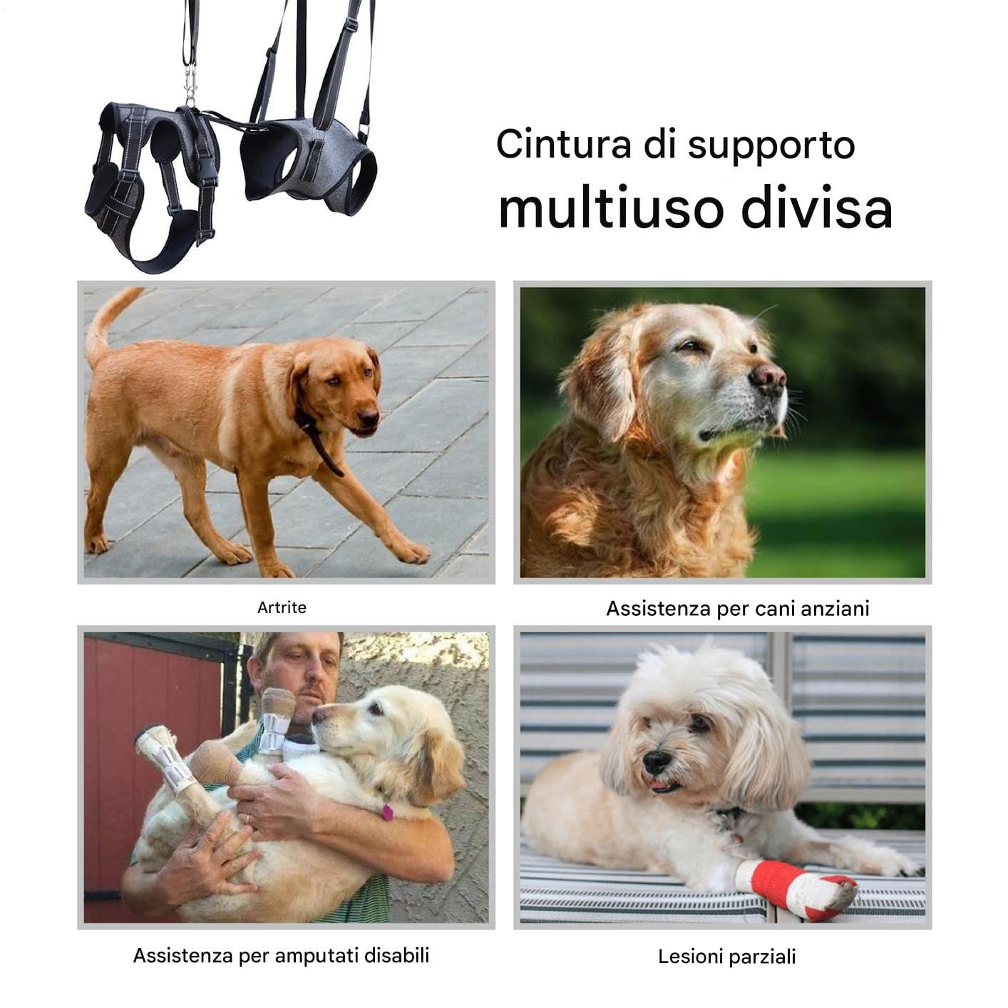 Imbracatura A Corpo Intero Per Sollevamento Cani Pettorina Regolabile | Gilet assistenza mobilità cani con maniglia Riabilitazione Addestramento Uscite Veterinario Scale