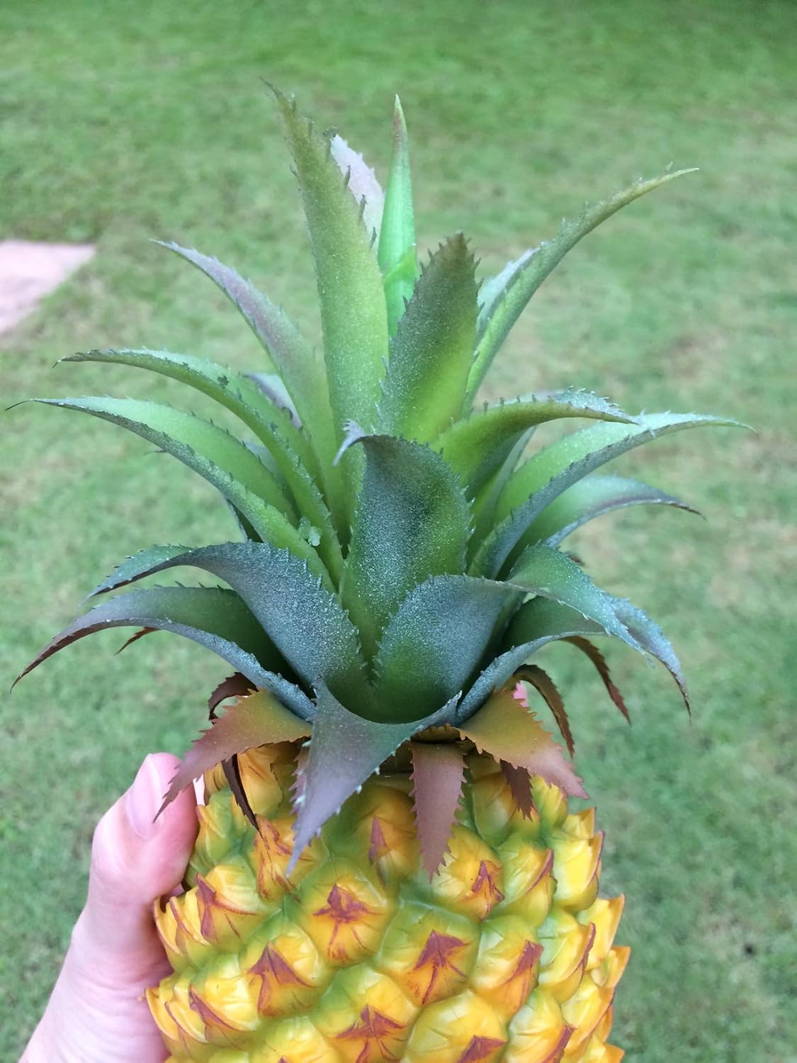 Sawadee Artificial Pineapple Fake Fruit for Display