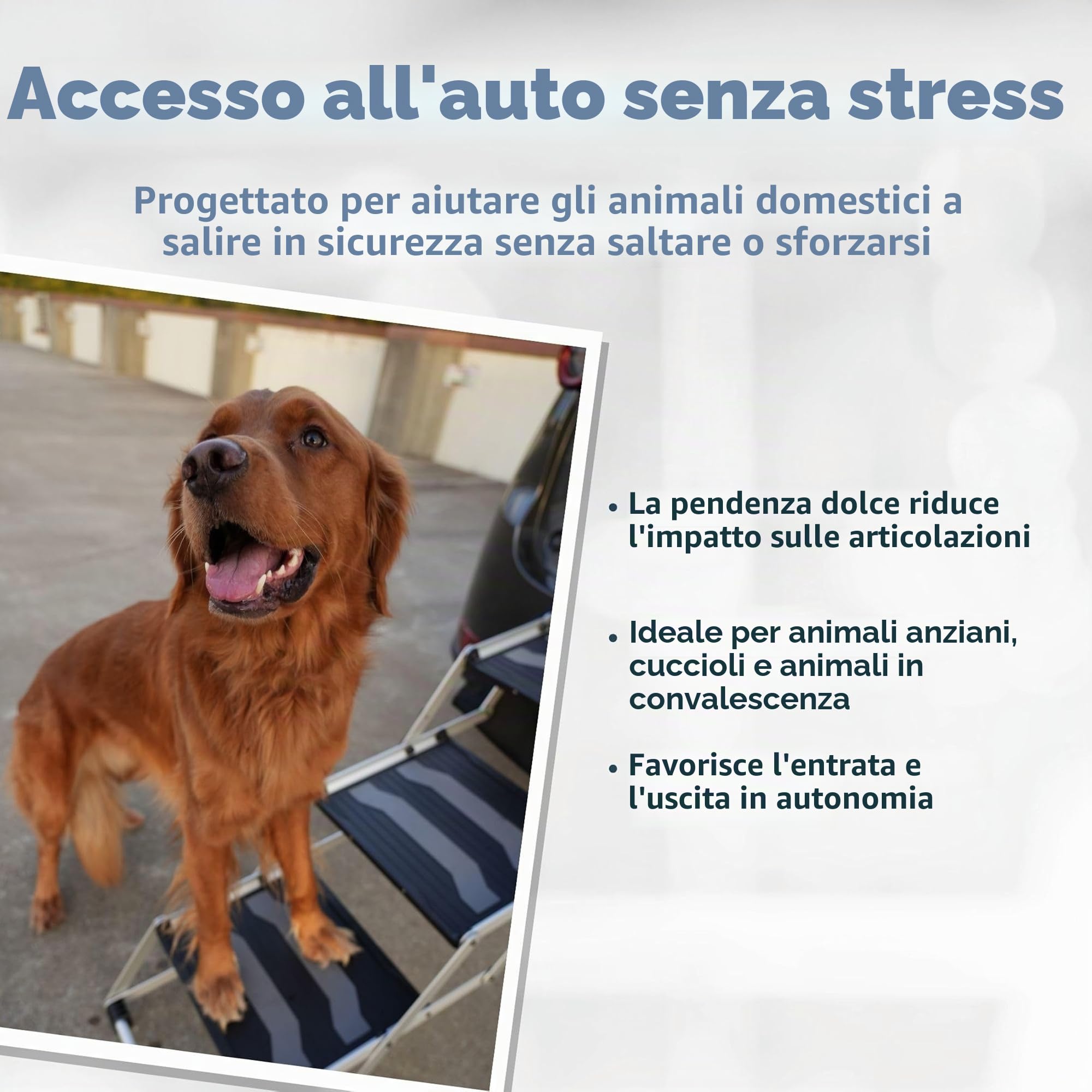TRIXIE Scaletta pieghevole resistente a 4 gradini per animali domestici, in alluminio leggero, scala portatile, gradini per animali domestici