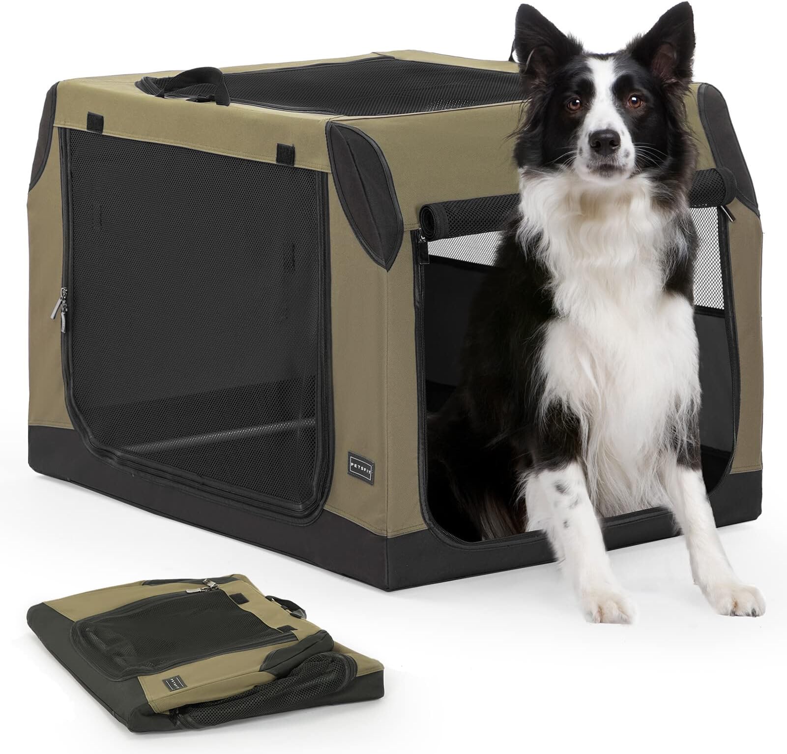 producten voor honden – voor een actief leven met je beste vriend(in) | | Nederland