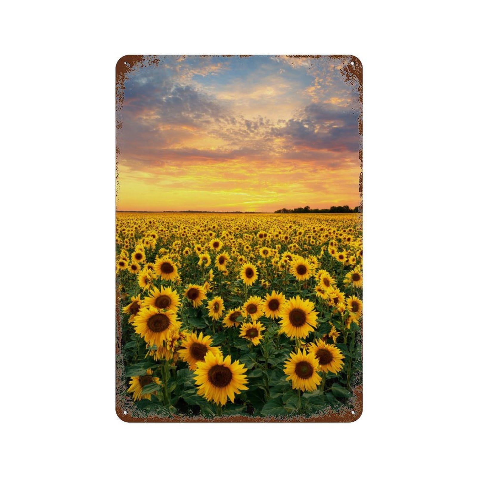 Sunflower Field Sunset-5 Rust Effect Tin Sign 11.8"x7.9", for Farmhouse, Kitchen And Entryway Decor, Decorative Metal Wall Art