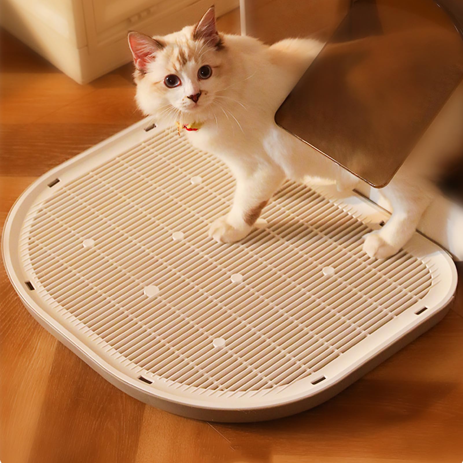 Katzenstreumatte Mit Auffangfunktion - Wasserdicht & Rutschfest 42x28.5cm