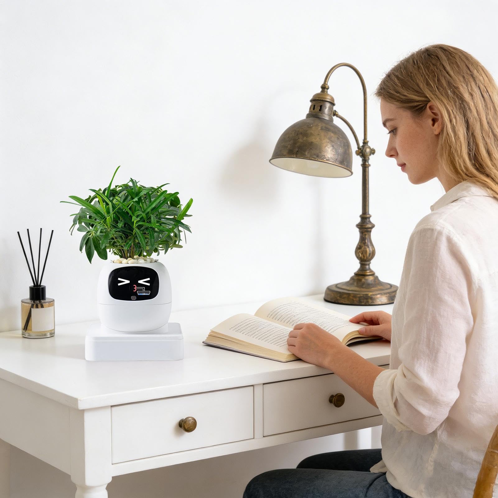 Vaso Intelligente Per Piante Portavasi Multifunzione con Espressioni | Contenitore per e Piante Grasse per Interni Casa Appartamento Balcone Terrazza Regalo Compleanno San Festa della