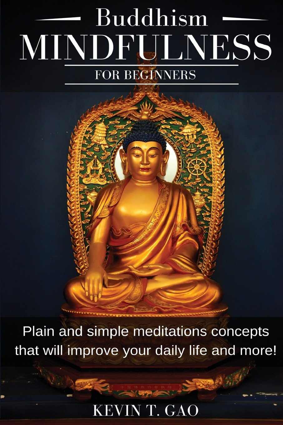 Buddhism Mindfulness for Beginners: Plain and simple meditations concepts that will improve your daily life and more!