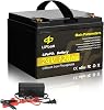 24V 12Ah LiFePO4 Battery Lithium Iron Phosphate Rechargeable Battery 4000 Deep Cycle Built-in 15A BMS, 29.2V 5A LiFePO4 Charger with Copper Wire Lugs and M6 Screws