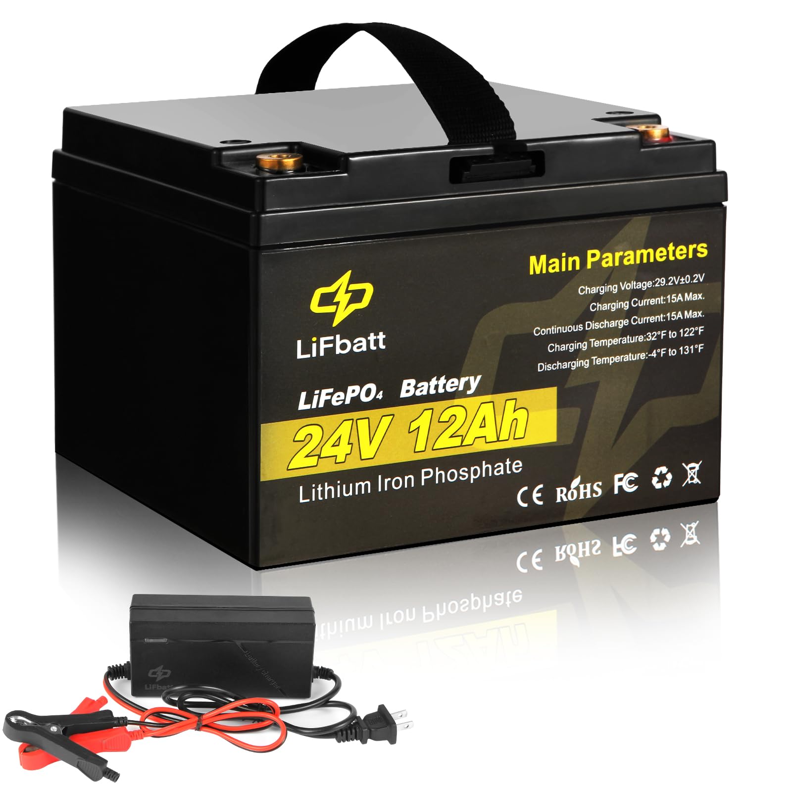 Amazon.com: 24V 12Ah LiFePO4 Battery Lithium Iron Phosphate