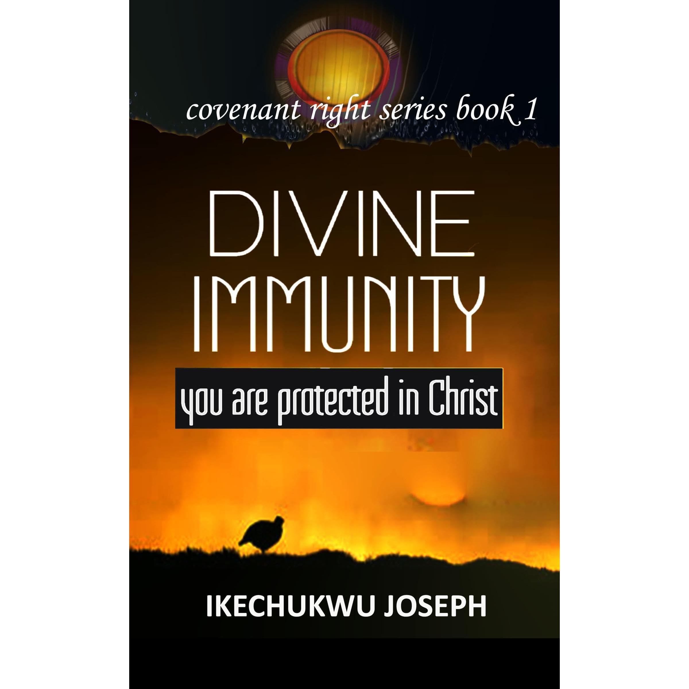 Divine Immunity