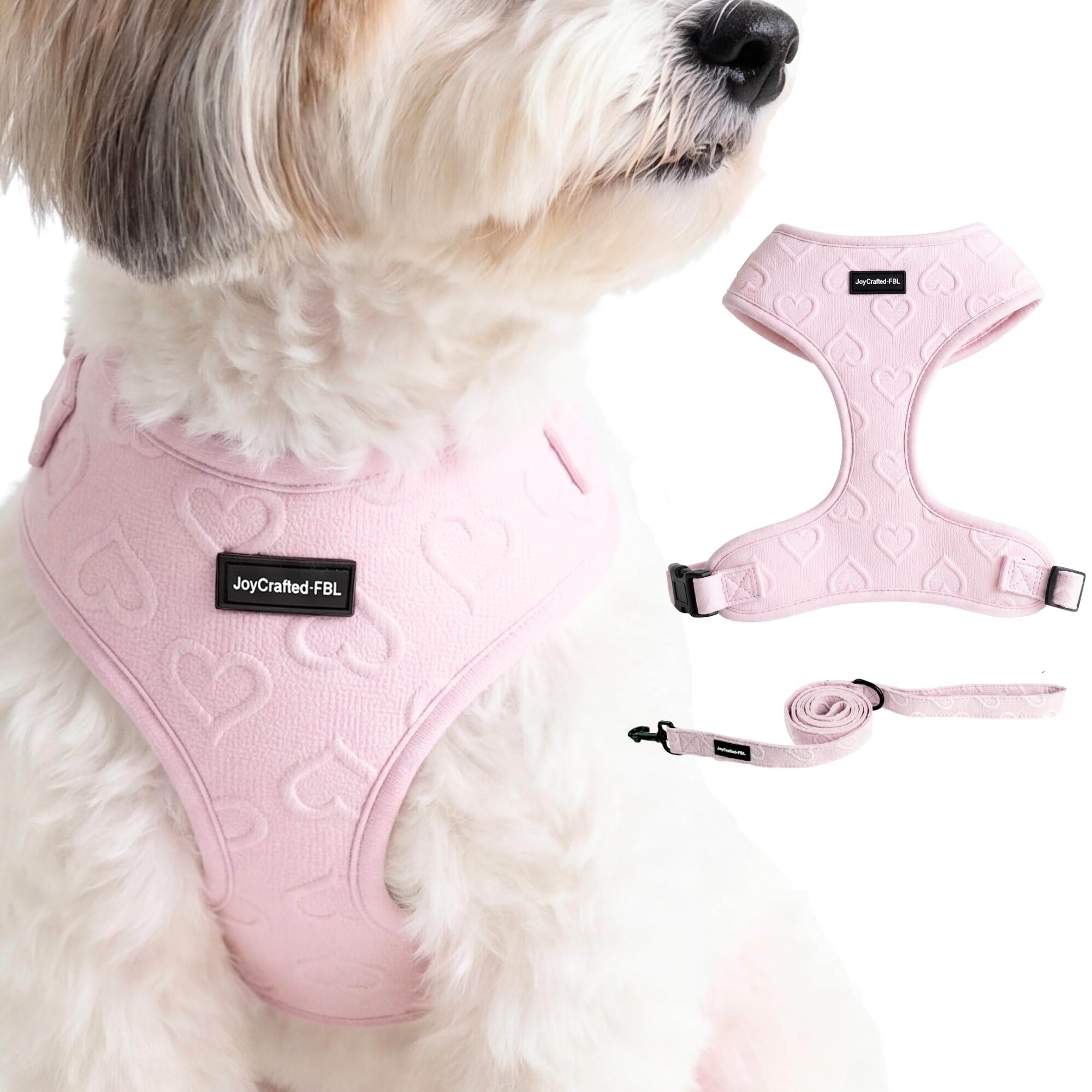No Pull Dog Harness & Leash Set with Cute Heart Print, Soft Padded, Medium