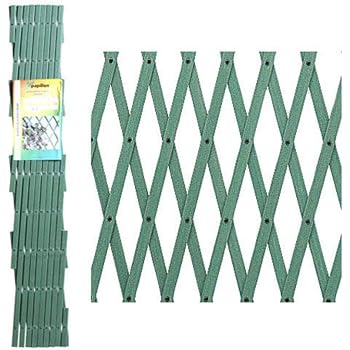 Papillon 8091565 Celosia PVC Fija Verde Set 5 Piezas de 2 x ...
