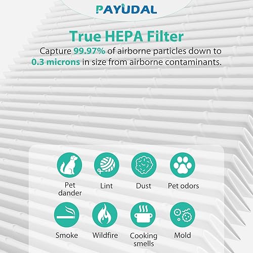 Miniatura 6 de Paquete de 2 filtros de repuesto G3 A3 para purificador de aire AMEEU G3 Sferf-30 (FXAP2W). Compatible con filtro VEWIOR A3 A3N. Para Tailulu