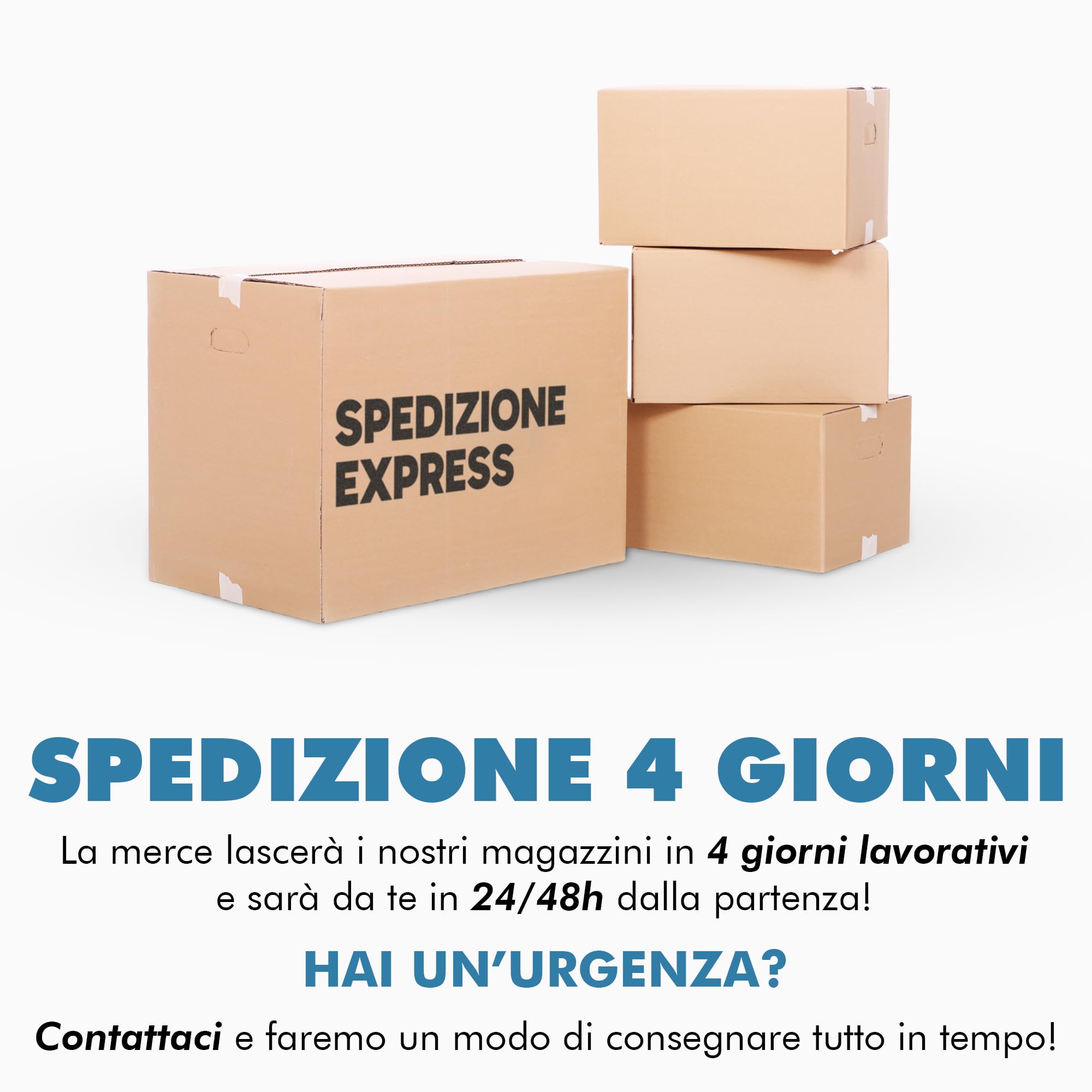 Cornucopia Porta Soldi in Resina Argentata con Soldi Oro e Argento misura 13,5x8x4,5 cm soprammobile unico, idea regalo, centrotavola - Scatola Regalo Inclusa, Made In Italy