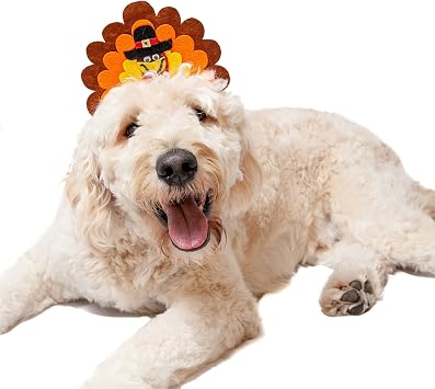 Amazon.com : Midlee Turkey Dog Headband 