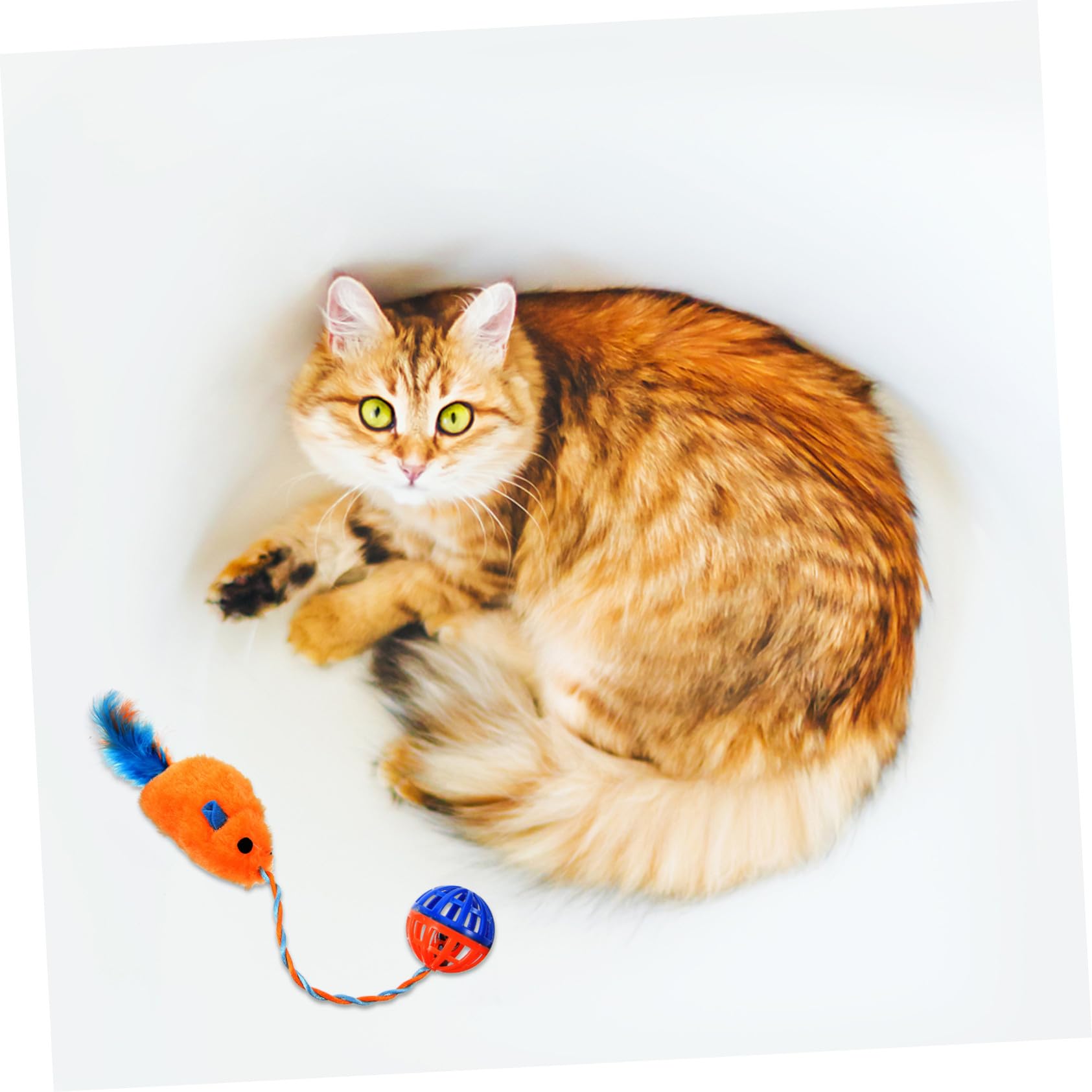Mipcase Interactif Chat avec Souris Peluche et Clochette Plastique à Mâcher pour Dents de Chat Stimule Activité Jeu Intérieur des Félins