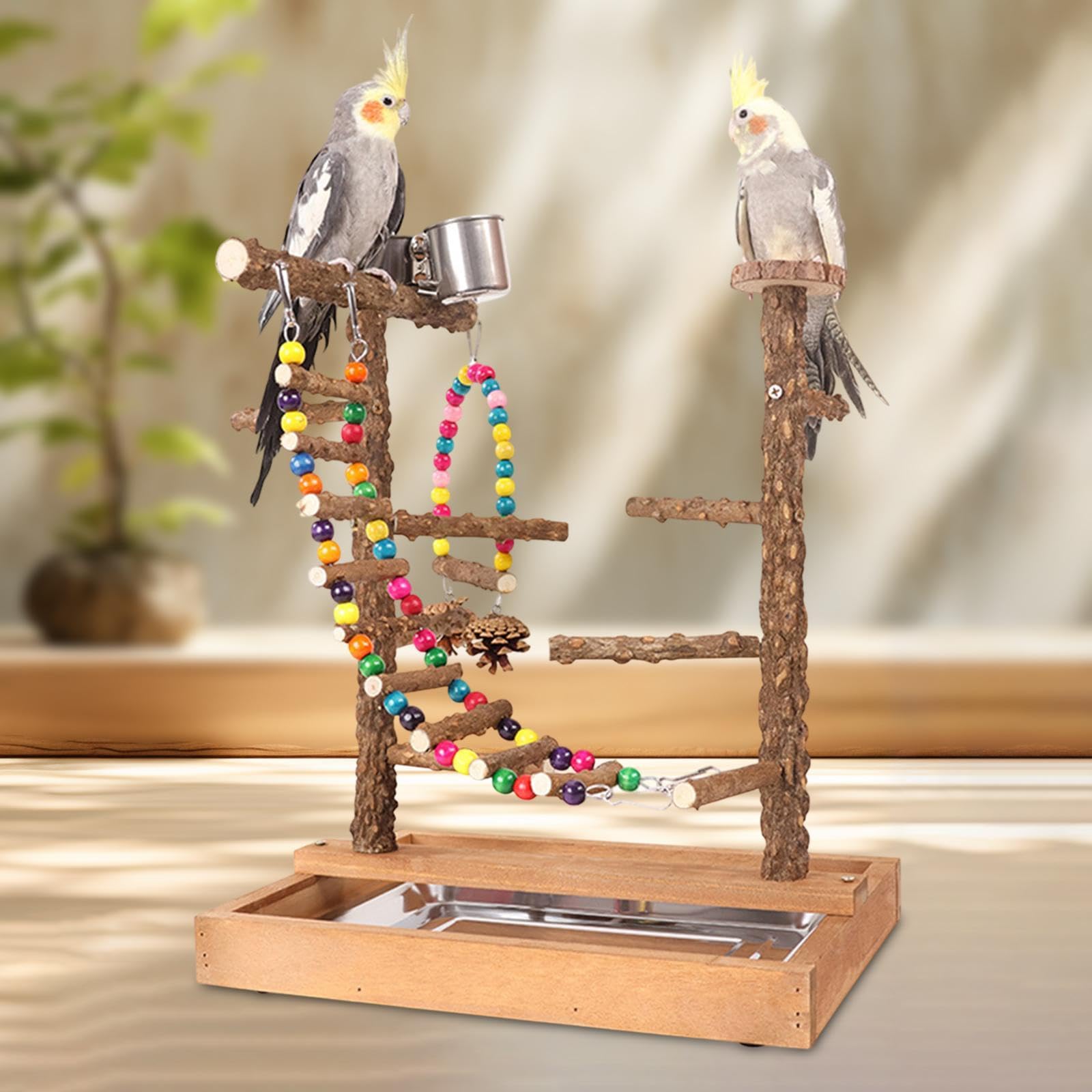 Parco giochi per pappagalli Parrocchetti Parrocchetti Gioca Accessori Gabbia per Uccelli Gioca Palestra per Piccoli Parrocchetti Inseparabili 36 x 26 x 43 cm