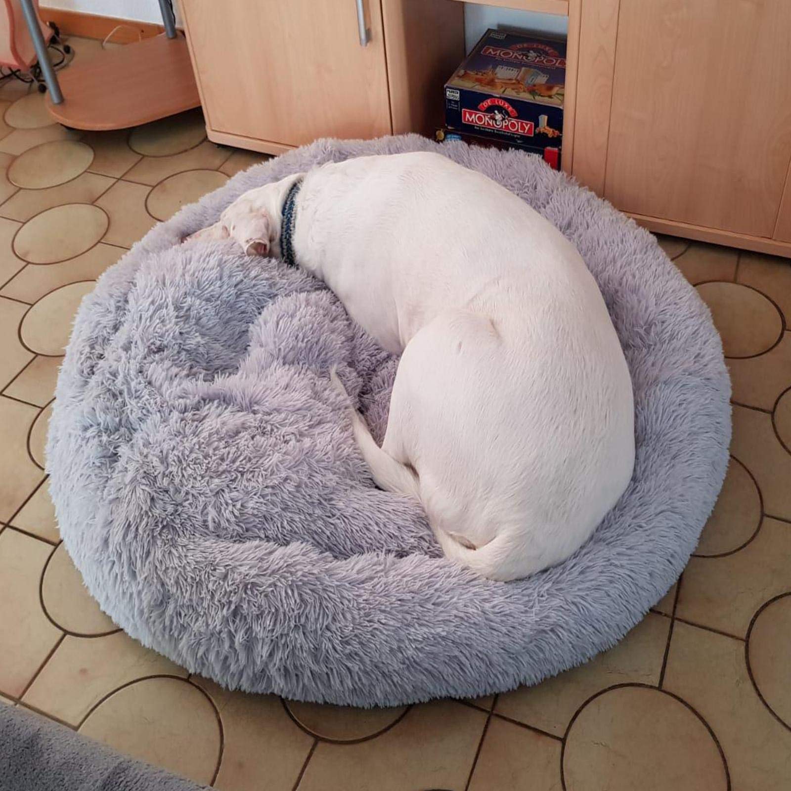 Orthopädisches Hundebett XXL – Oval, Mit Memory Foam, Waschbar, Rutschfest Für Große Hunde