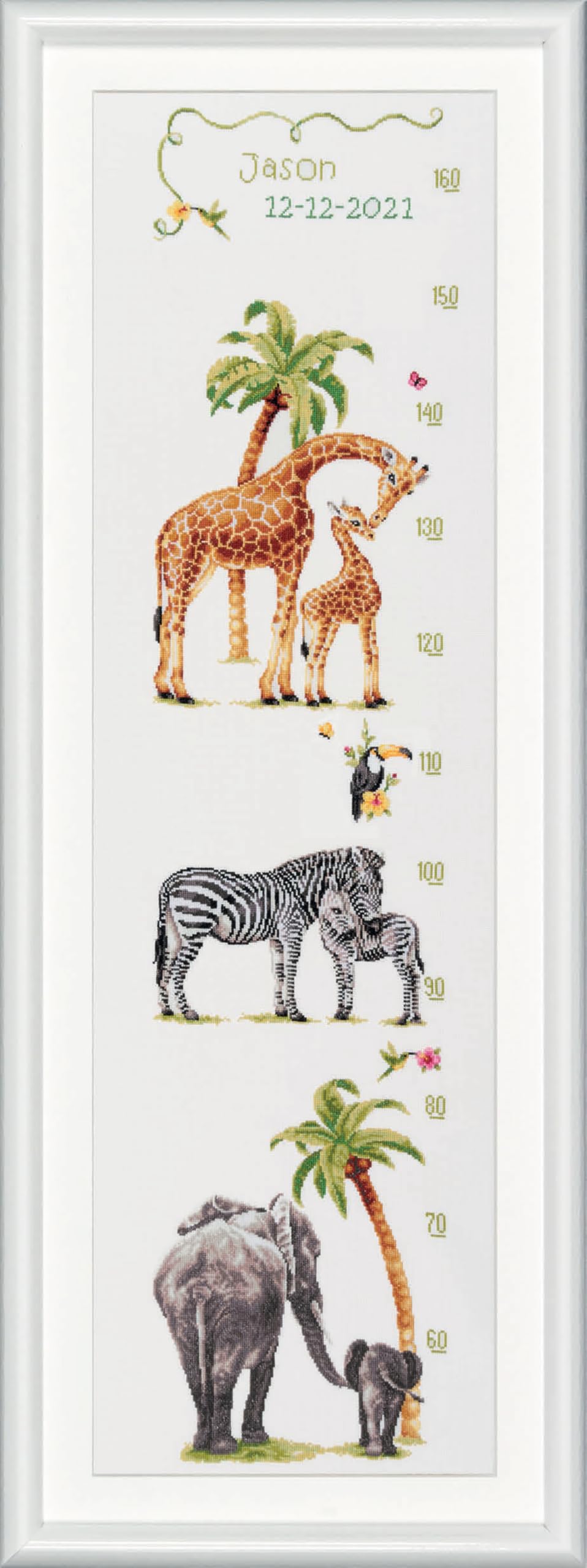 DUTCH STITCH BROTHERS - Kit de broderie au point de croix compté - DSB002A - Courbe de croissance Safari - Aida blanc - 110 x 25 cm - DIY pour adultes