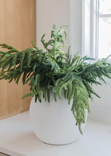 Miniatura 7 de Afloral Real Touch Norfolk Pine Branch - 36"