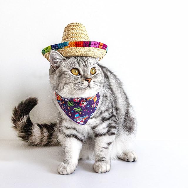 Foto 8 de 8 de Paja Mexicano para Mascotas, Sombreros Fiesta Sombrero Mexicanos con Acabados Multicolores