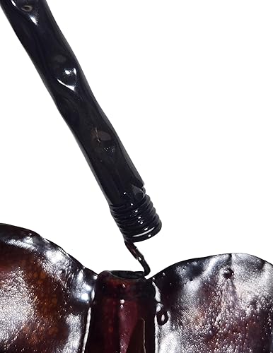 Miniatura 4 de WorldBazzar Hermosa estatua de escultura de arte de pared de coral con mantarraya, manta raya, de metal, extra grande, grande, grande, única en su