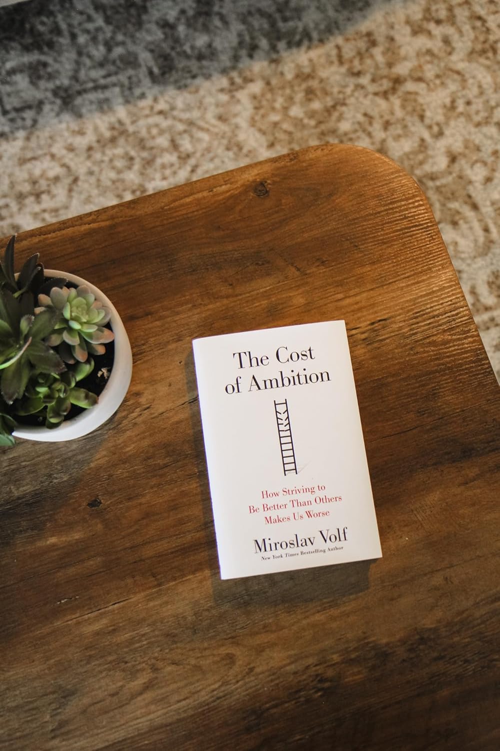 The Cost of Ambition: How Striving to Be Better Than Others Makes Us Worse (Why Ambition Is at Odds with the Christian Faith) (Theology for the Life of the World) - Image 4