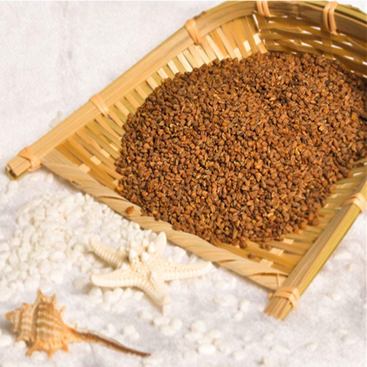 1000g Té orgánico Té de alforfón negro Té de alforfón tartario negro Plántula completa